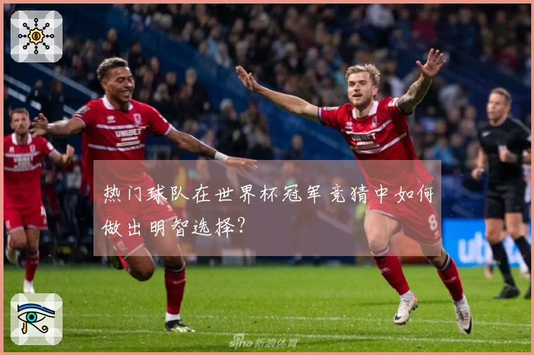 热门球队在世界杯冠军竞猜中如何做出明智选择？