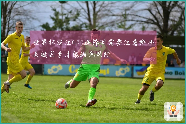 世界杯投注app选择时需要注意哪些关键因素才能避免风险