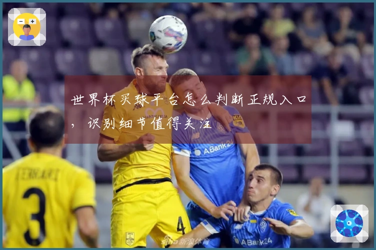世界杯买球平台怎么判断正规入口，识别细节值得关注