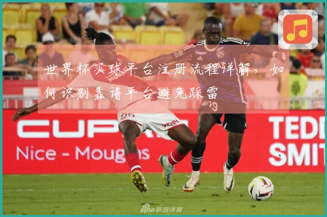 世界杯买球平台注册流程详解，如何识别靠谱平台避免踩雷