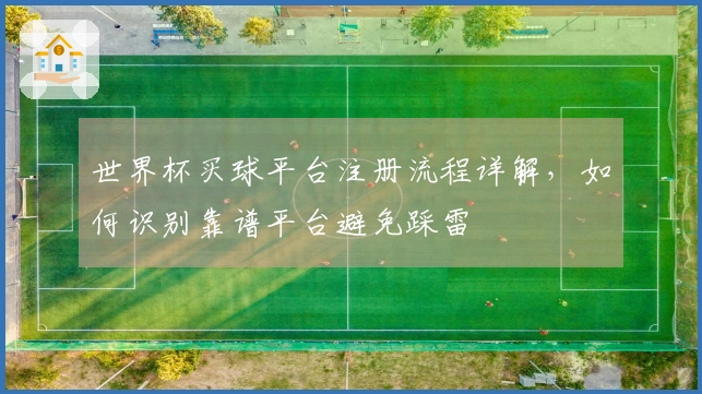 世界杯买球平台注册流程详解，如何识别靠谱平台避免踩雷