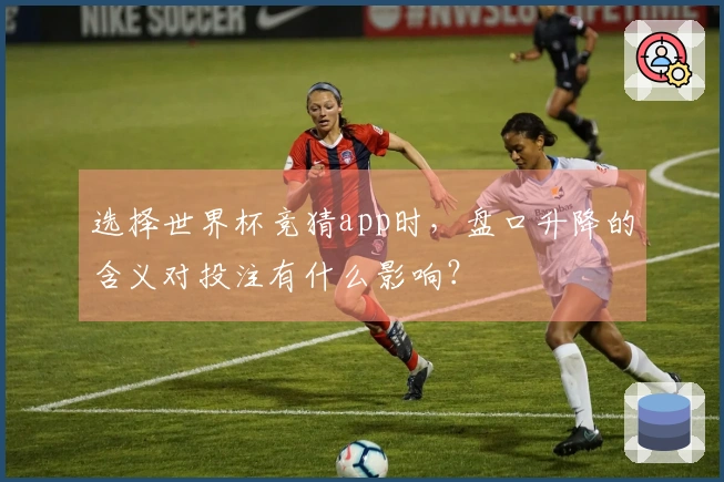 选择世界杯竞猜app时，盘口升降的含义对投注有什么影响？